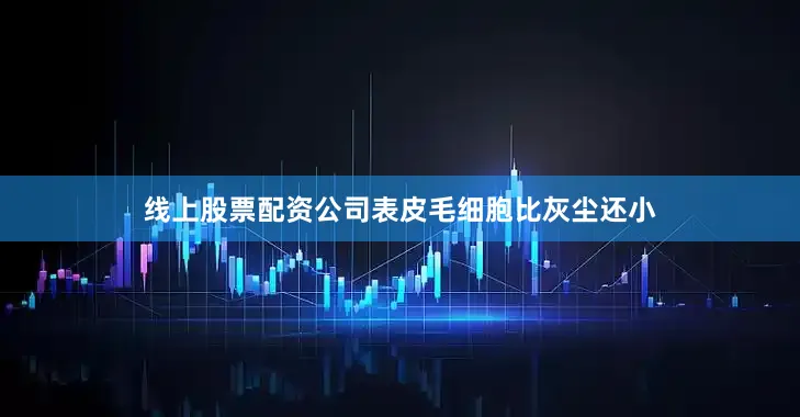 线上股票配资公司表皮毛细胞比灰尘还小