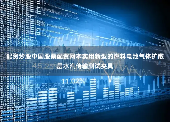 配资炒股中国股票配资网本实用新型的燃料电池气体扩散层水汽传输测试夹具