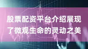 股票配资平台介绍展现了微观生命的灵动之美
