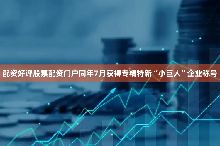 配资好评股票配资门户同年7月获得专精特新“小巨人”企业称号